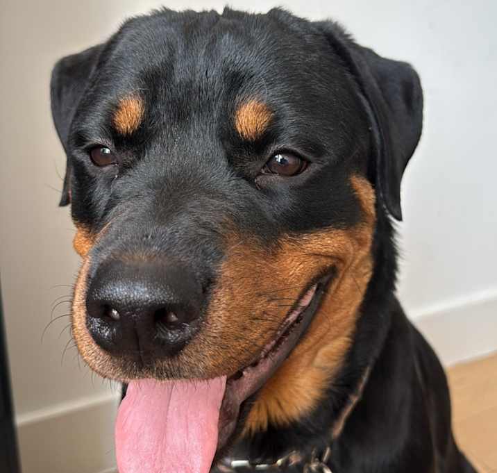 Photo of Chop