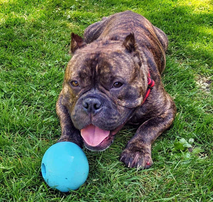 Photo of Eggsy