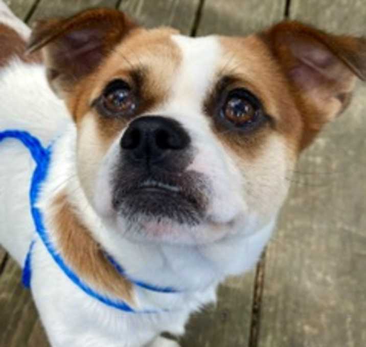 Photo of Max