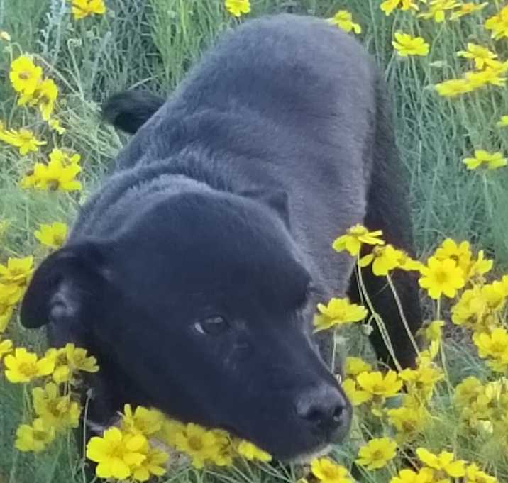Photo of Axel