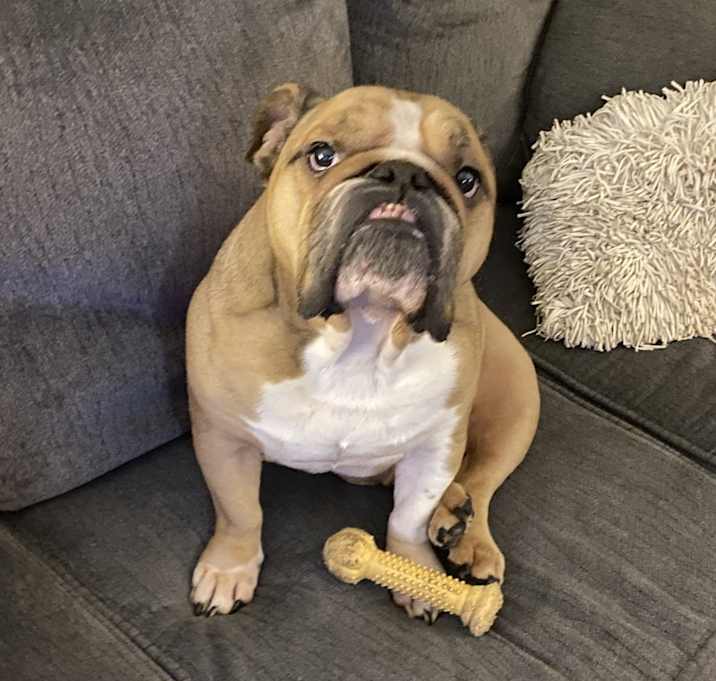 Photo of Fred