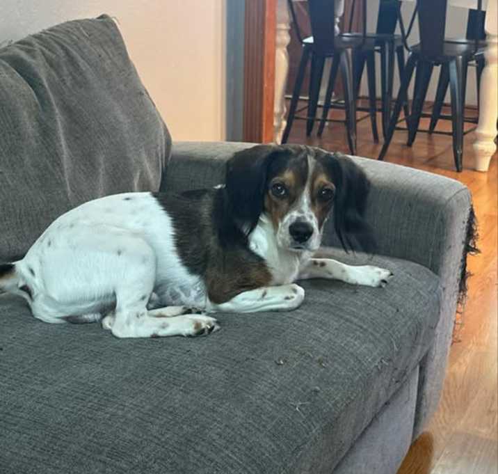 Photo of Charlie