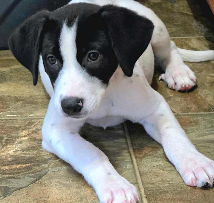 Photo of IZZY