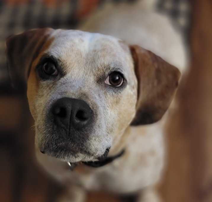 Photo of Arnie