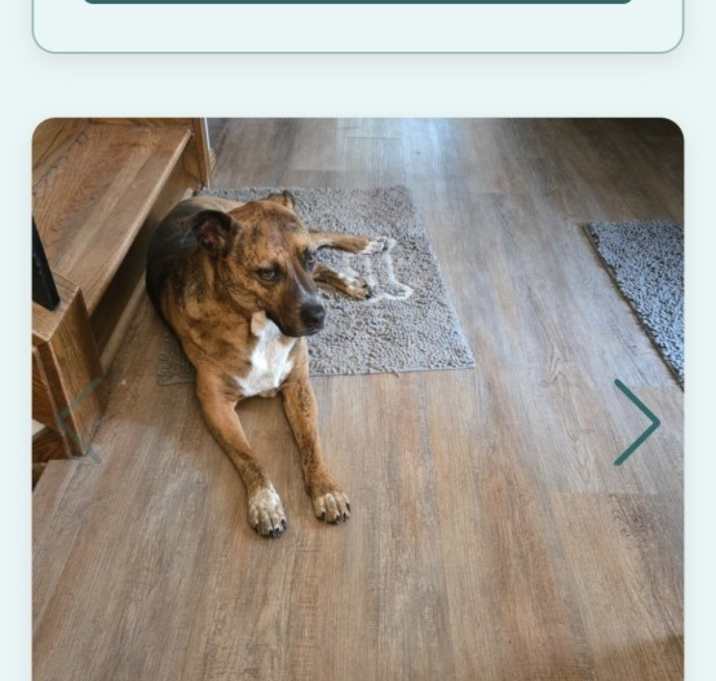 Photo of Lucy