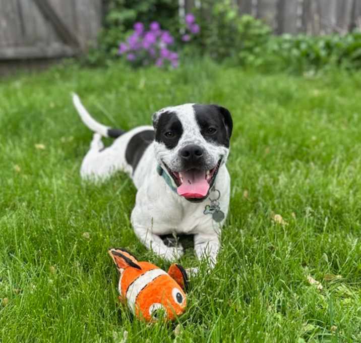 Photo of Phoenix
