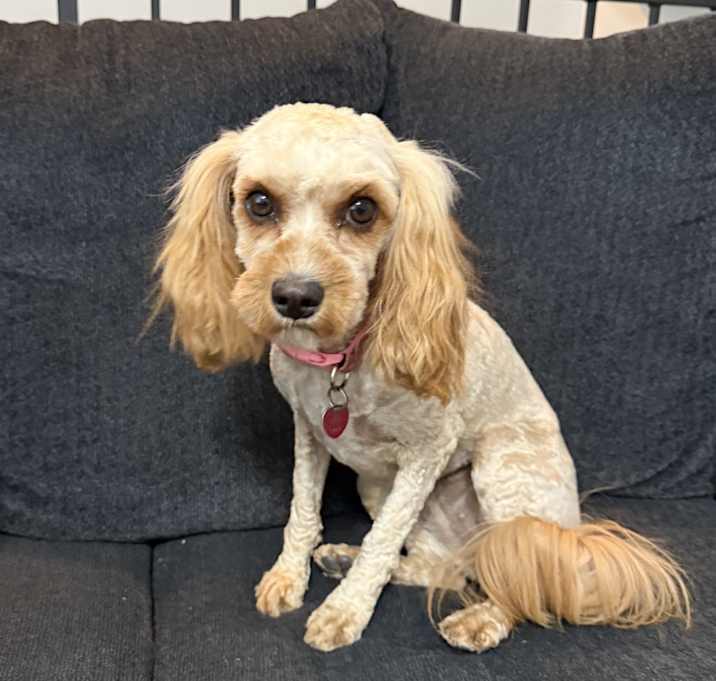 Photo of Winnie