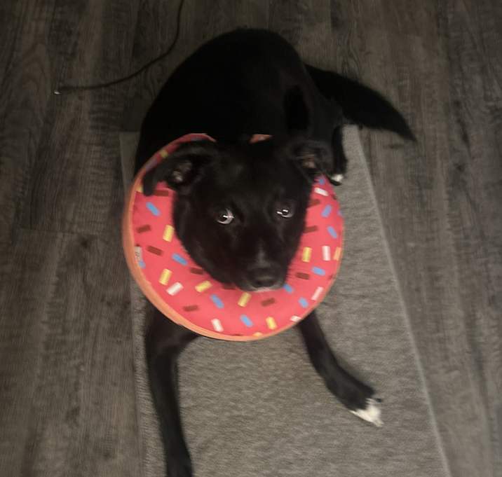Photo of Charlie