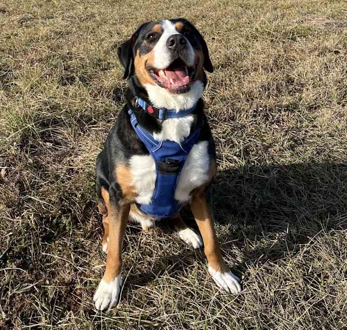 Photo of Murphy