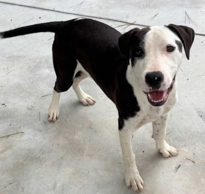 Photo of Luca - Lucky Boy!