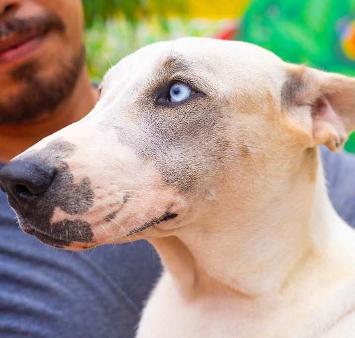 Photo of Blue