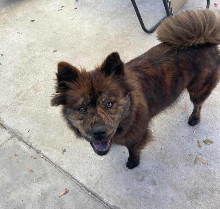 Photo of Kiki