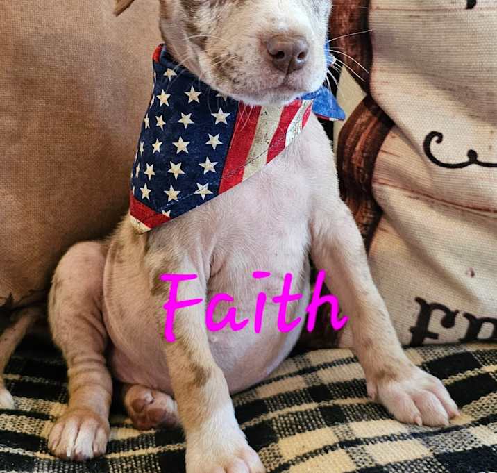 Photo of Faith