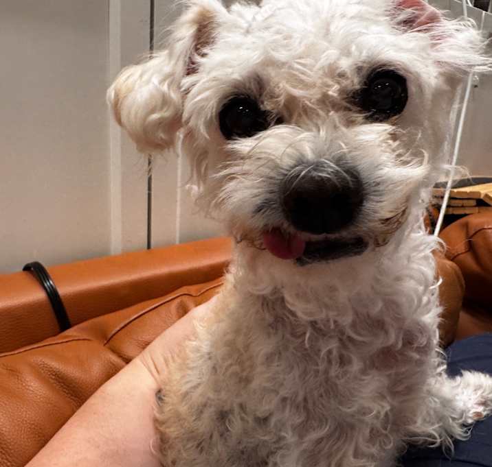 Photo of Eloise