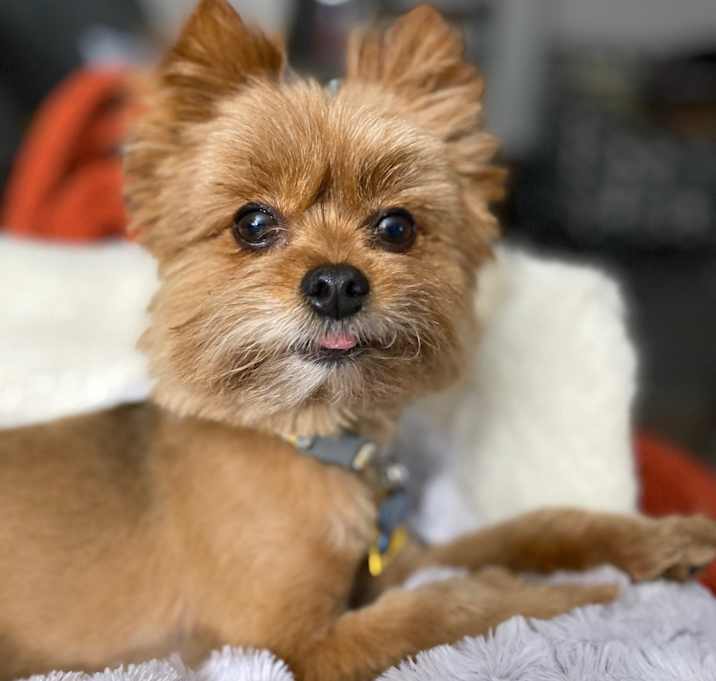 Photo of Gatsby