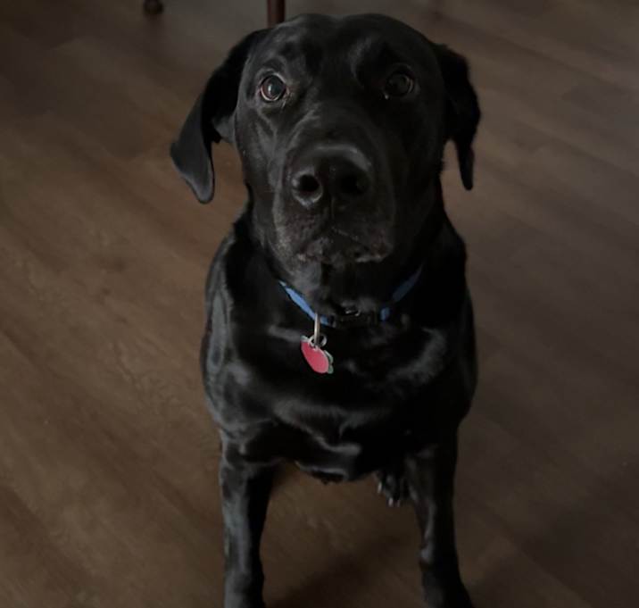 Photo of Cash