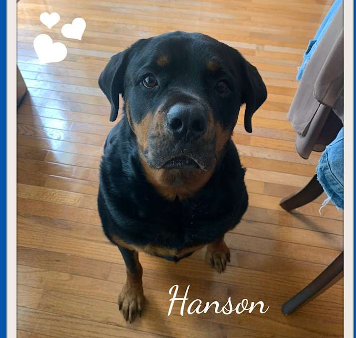 Photo of Hanson