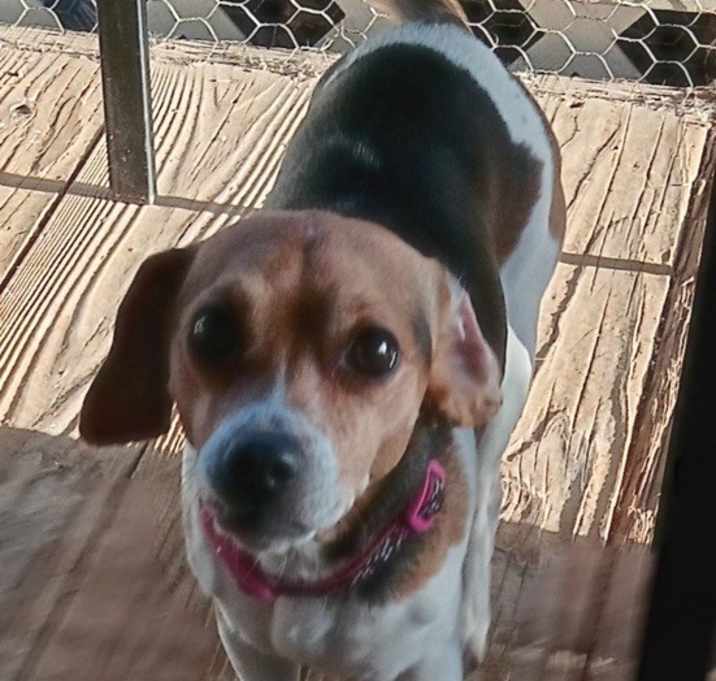 Photo of Matilda