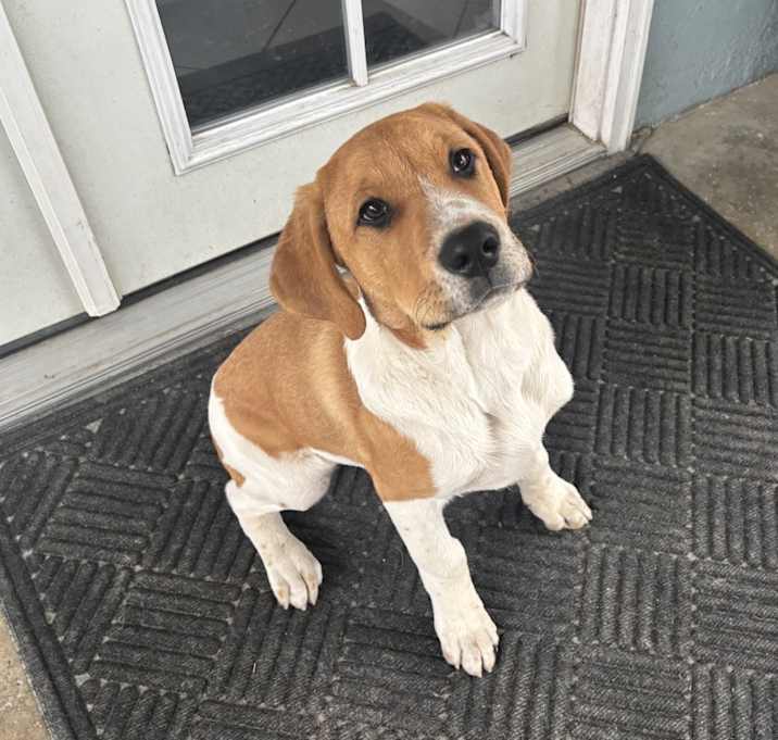 Photo of Max