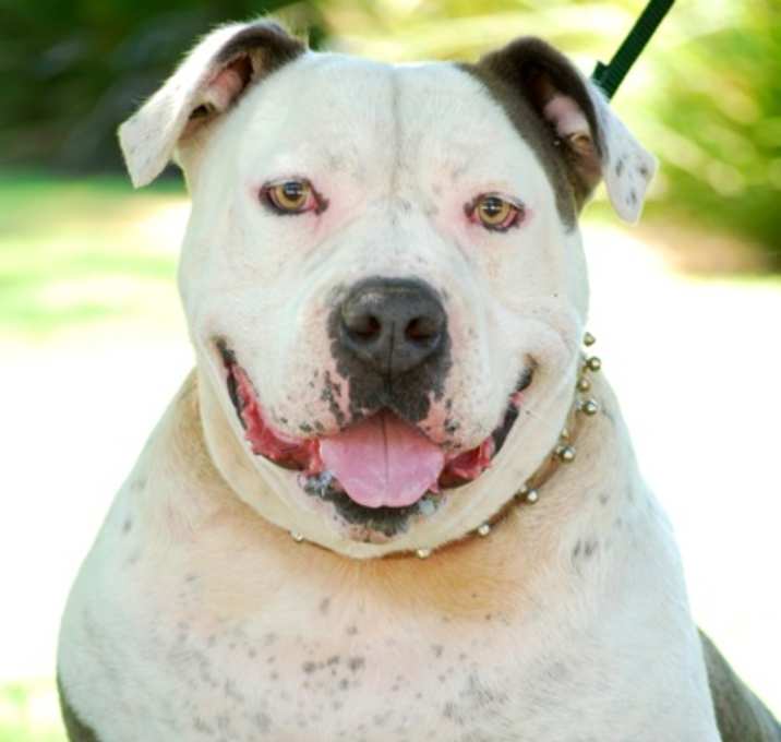 Photo of Big Boy