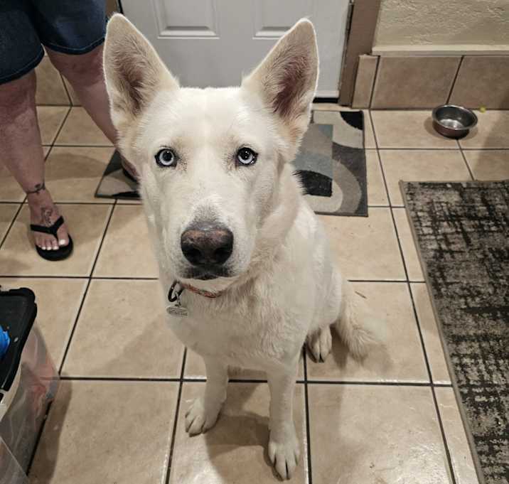 Photo of Karma