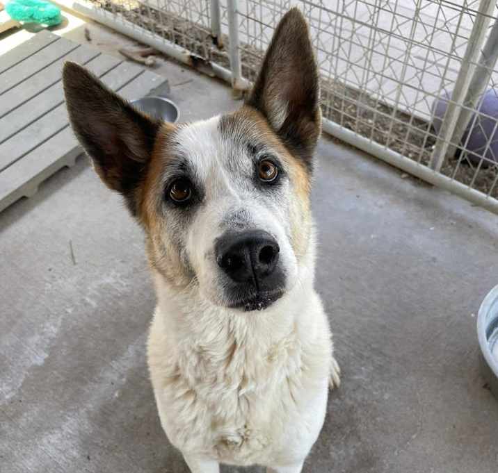 Photo of CLEMENTINE