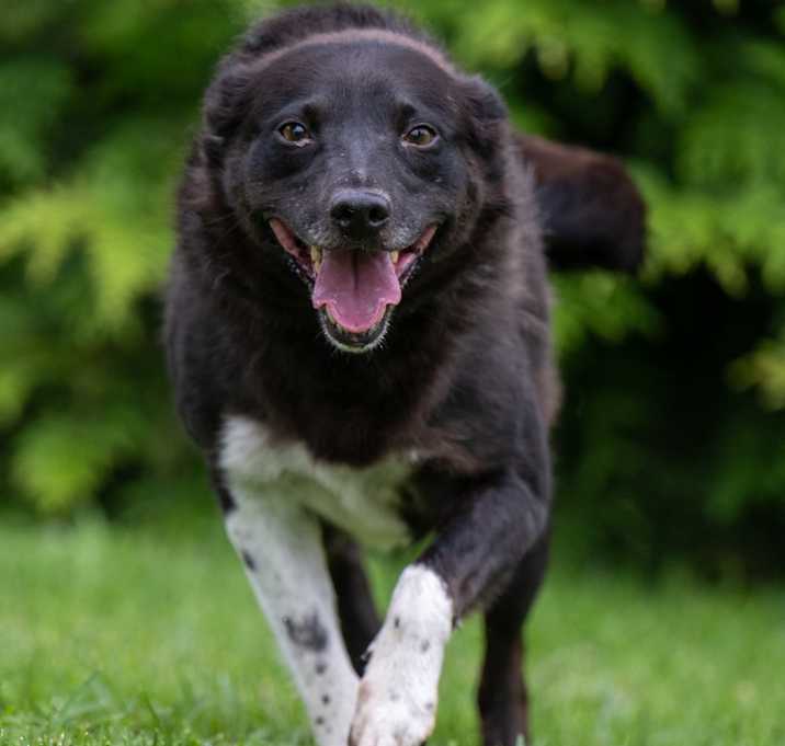 Photo of Tilly