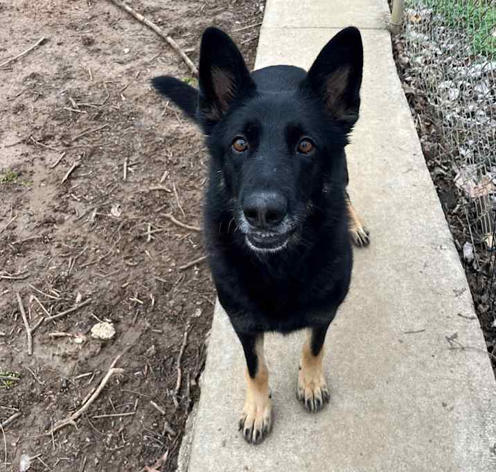Photo of Jada