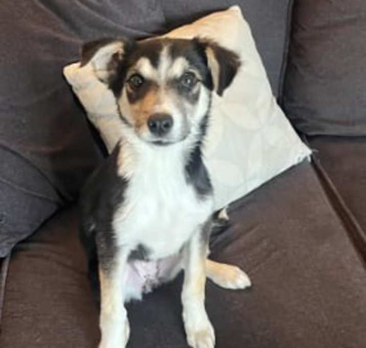 Photo of Maxi