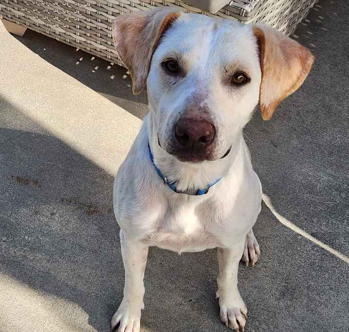 Photo of Butters