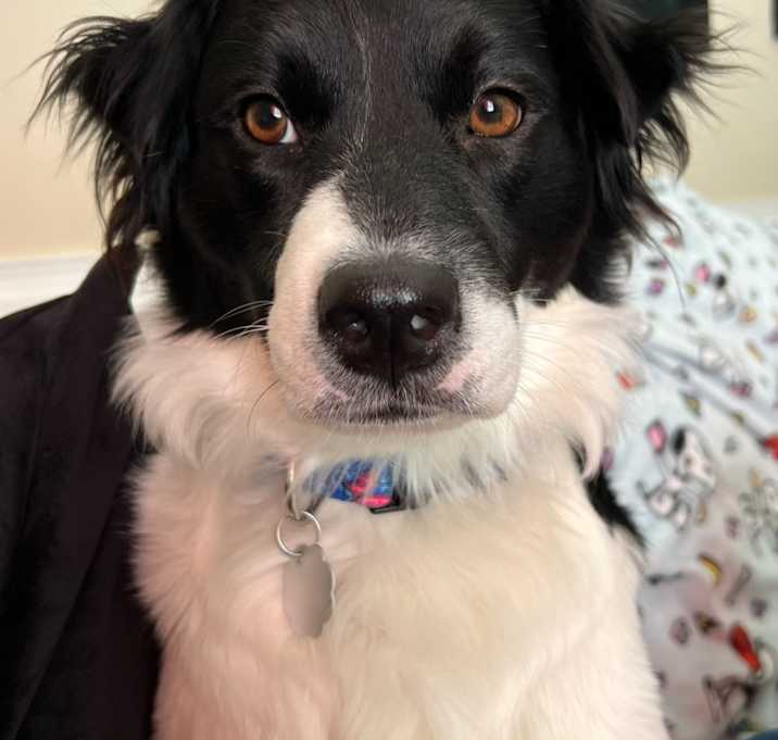 Photo of Riley