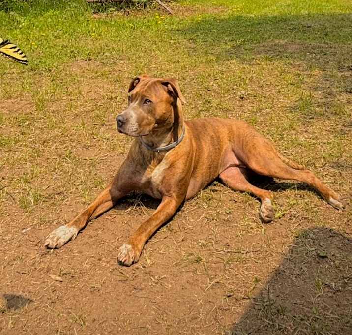Photo of Delilah