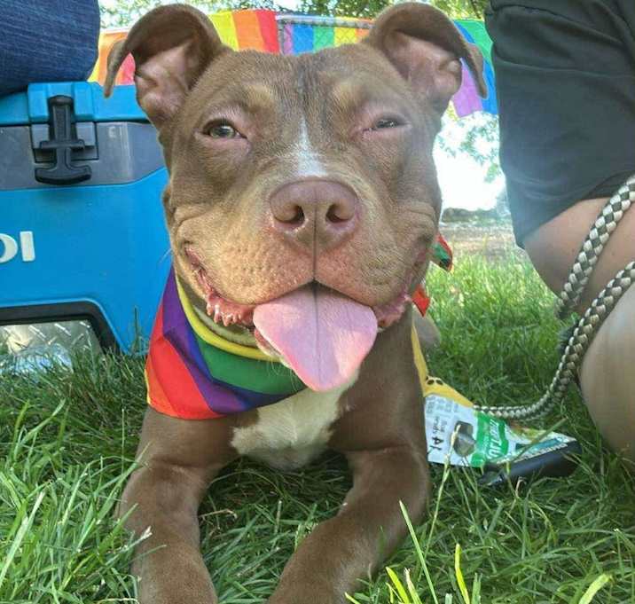 Photo of Remi