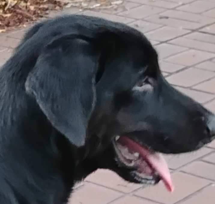 Photo of Eclipse