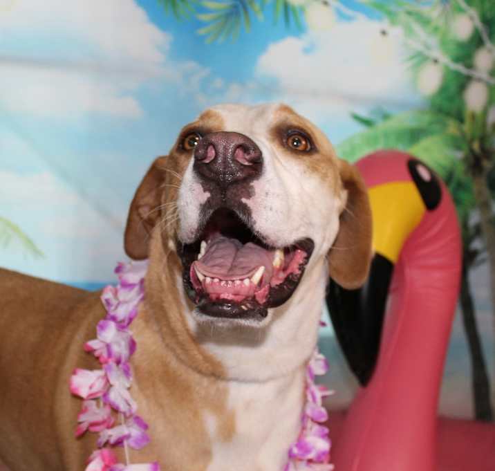 Photo of Nova