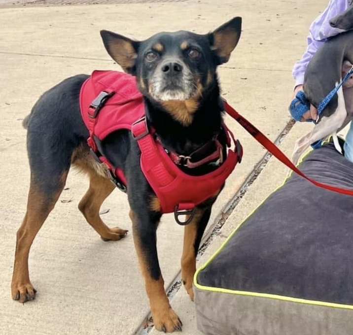 Photo of Tito