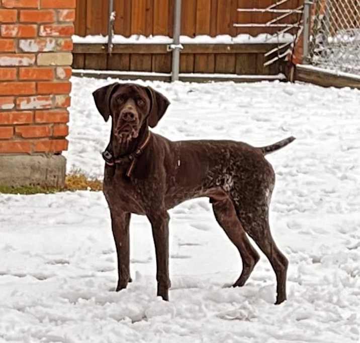 Photo of Camo