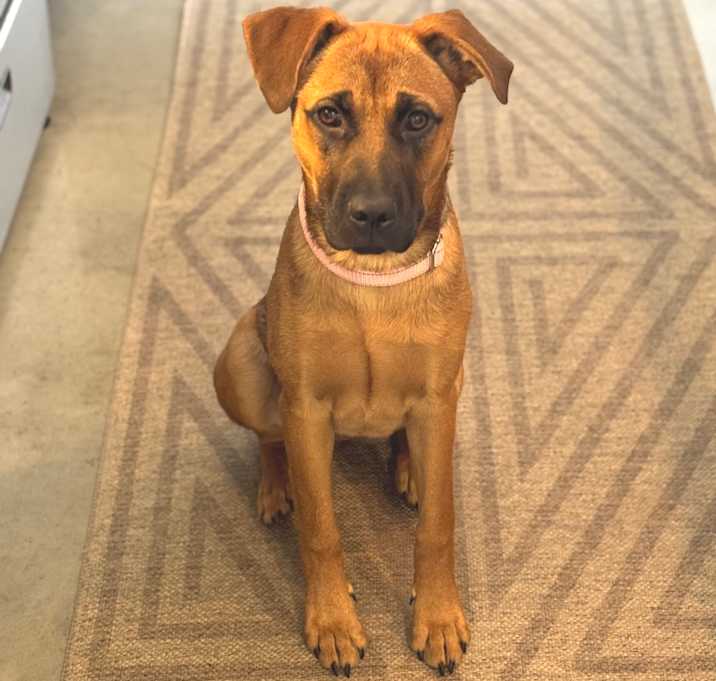Photo of Samantha