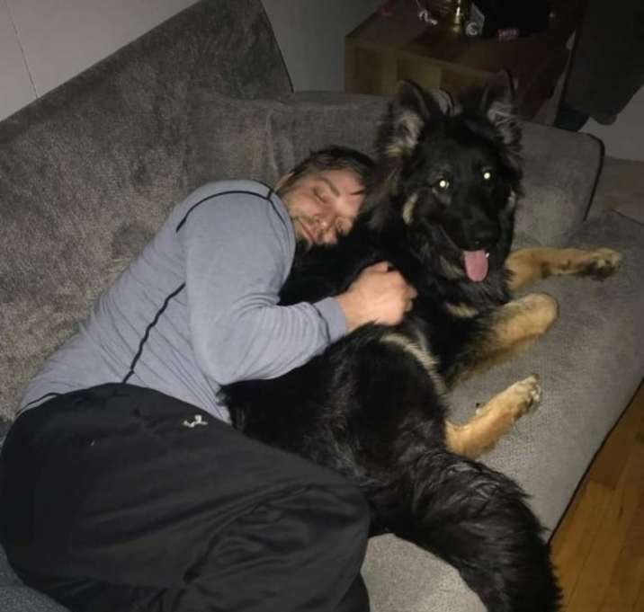 Photo of Koda
