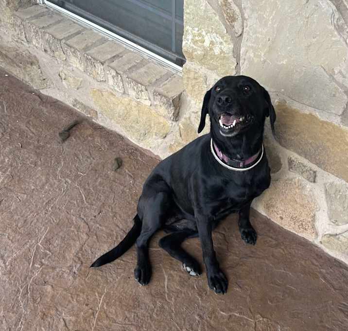 Photo of Shado