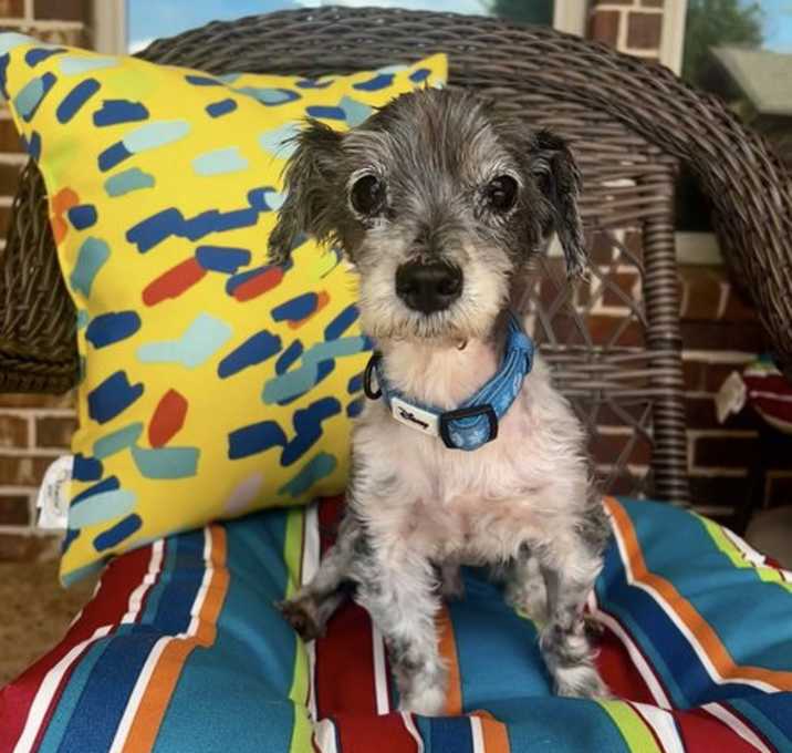Photo of Parker