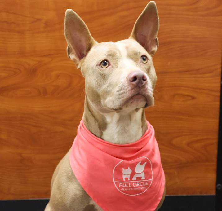 Photo of Sasha