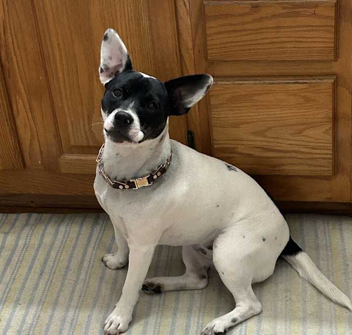 Photo of Bonnie
