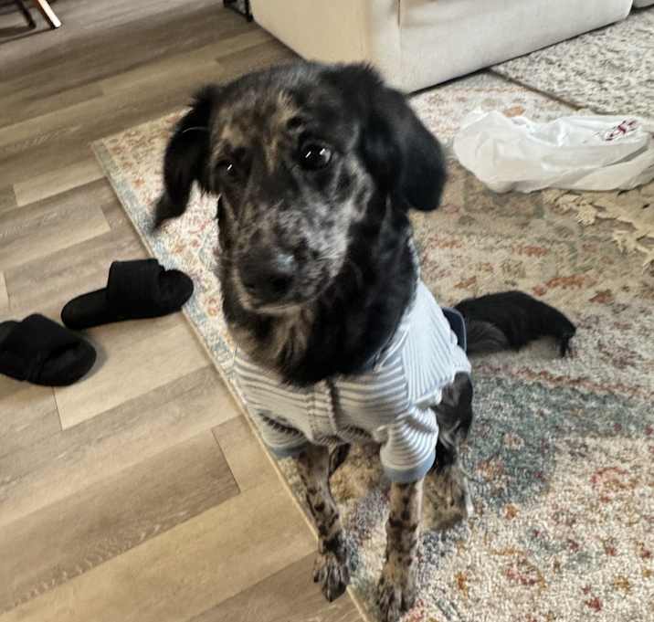 Photo of Greyson