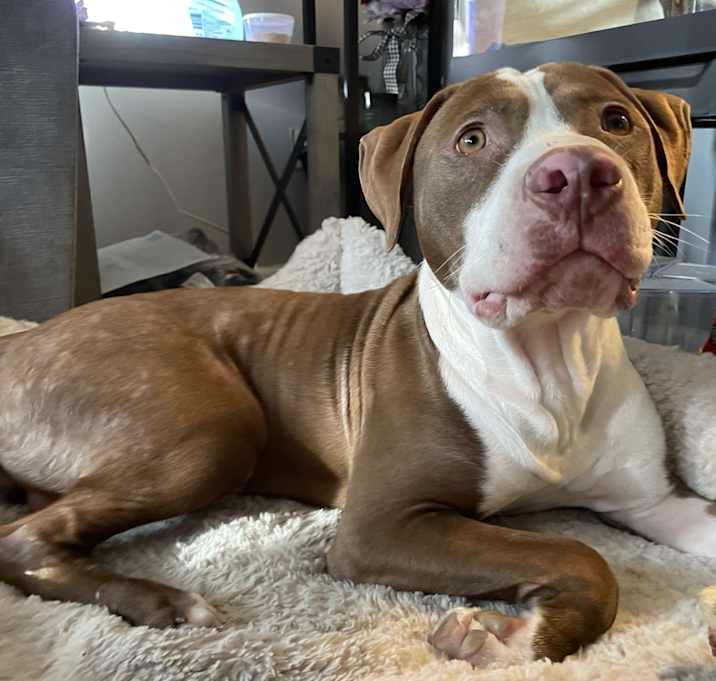 Photo of Tip