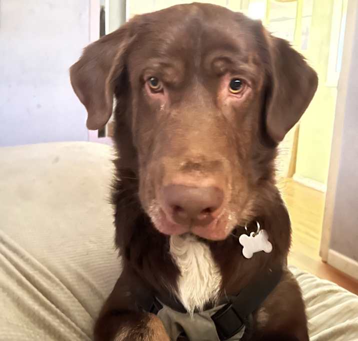 Photo of Charlie