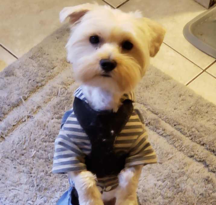 Photo of Benny