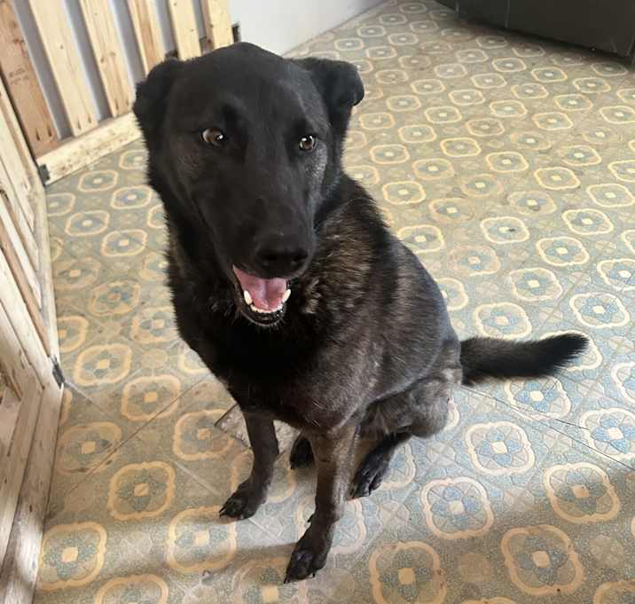 Photo of Whiskey