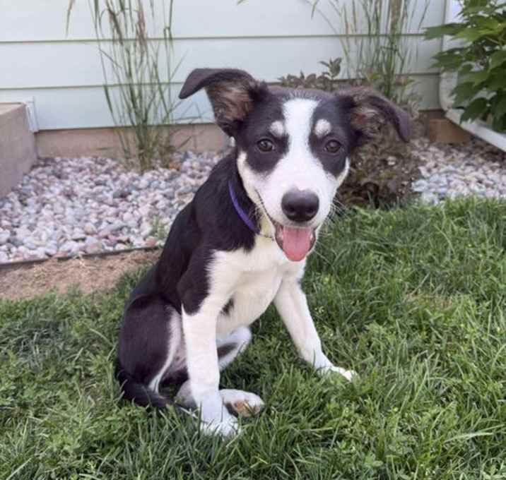 Photo of Sasha