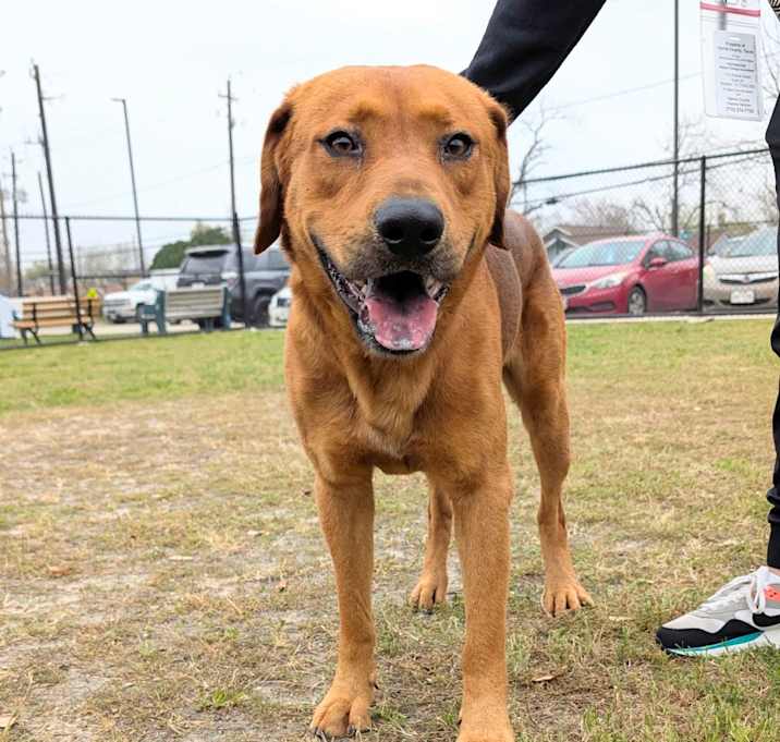 Photo of rudy